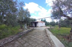 ZONA V. CORATO ( C.da Torricella) / RIF. T-1 ZONA V. CORATO ( C.da Torricella) / RIF. T-1