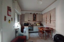 ZONA V. CORATO / Rif. 563