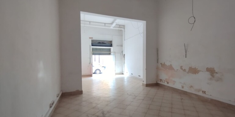 Immagine WhatsApp 2024-12-04 ore 11.01.53_56406525