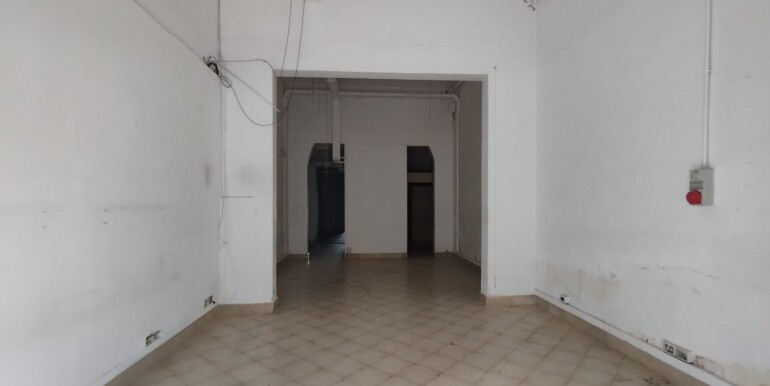 Immagine WhatsApp 2024-12-04 ore 11.01.55_6058ad93