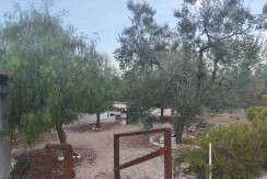 ZONA LEGGERA (Strada complanare per bisceglie) Rif. T.5