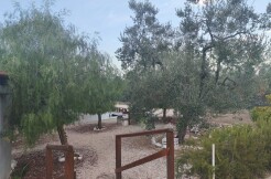 ZONA LEGGERA (Strada complanare per bisceglie) Rif. T.5