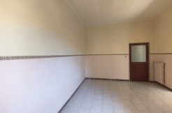 ZONA C.SO IMBRIANI (Lato nord) Rif. 579